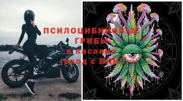 ECSTASY Новозыбков