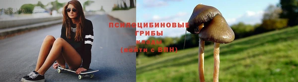 а пвп мука Новодвинск