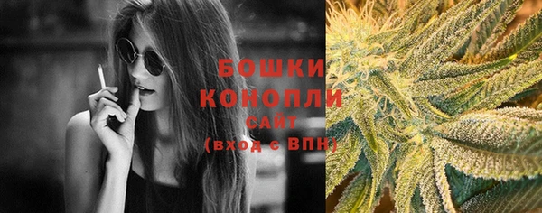 ECSTASY Новозыбков