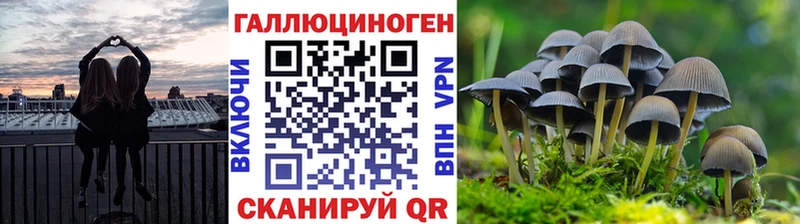 Псилоцибиновые грибы Cubensis ОМГ ОМГ Клин