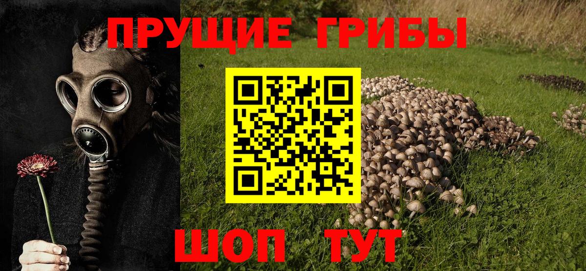 Псилоцибиновые грибы ЛСД  Вход с VPN  Клин 