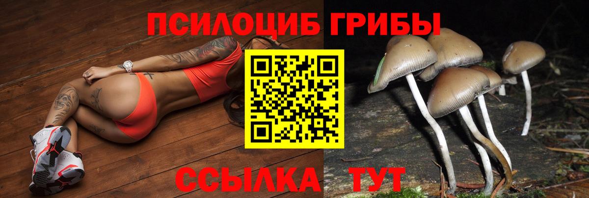 Галлюциногенные грибы мицелий Клин