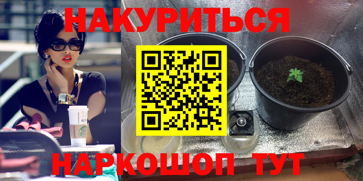 Марихуана Ganja  Бошки Шишки Bruce Banner  Клин  Вход с VPN  Бошки марихуана индика 